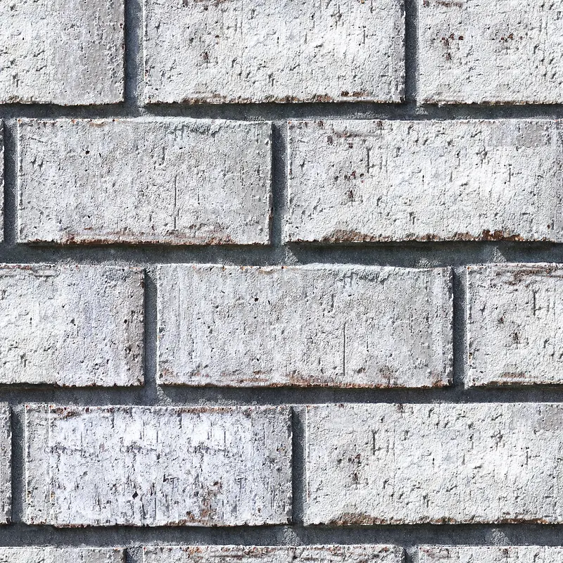 ǽ����Ӱ-������