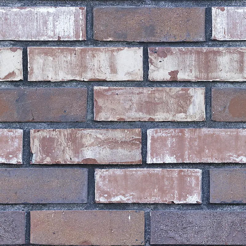 שǽ��Ӱ-������