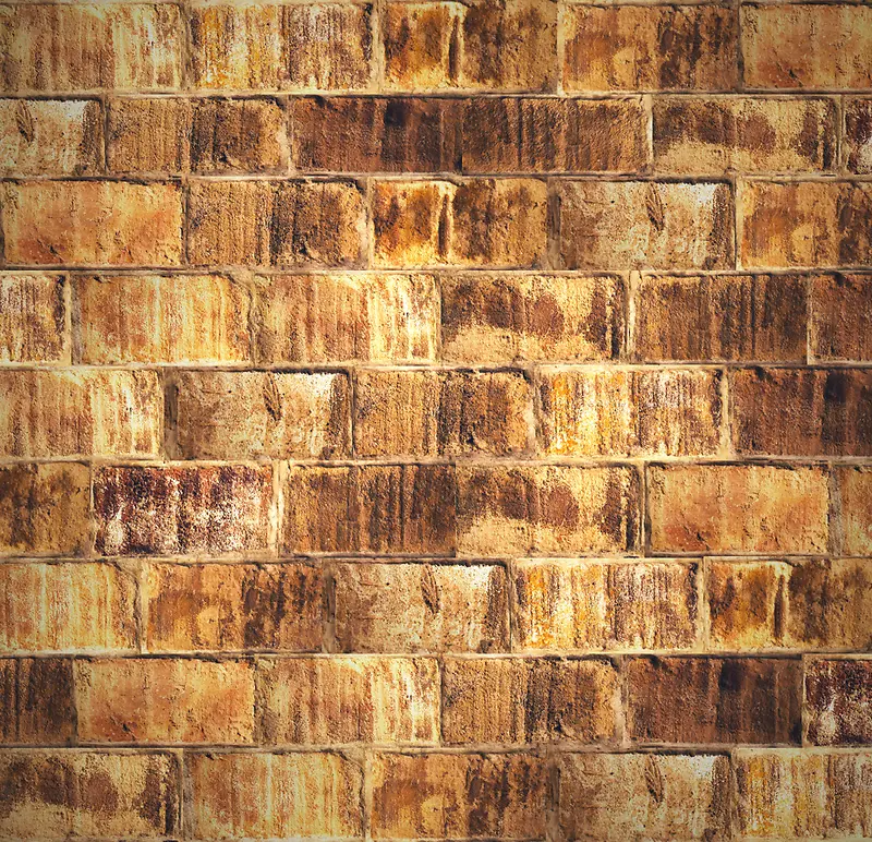 שǽ����-������