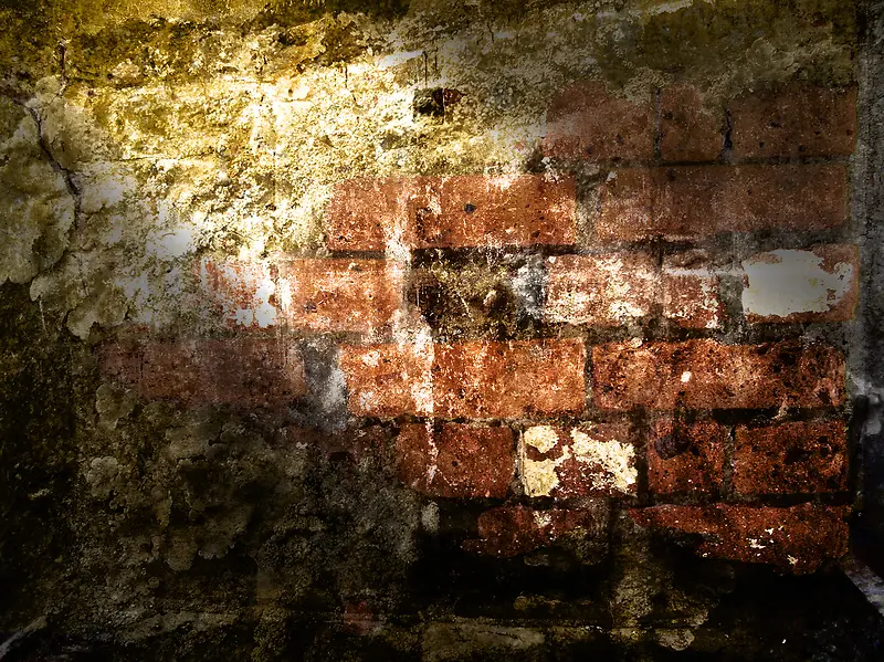 ����שǽ����-������