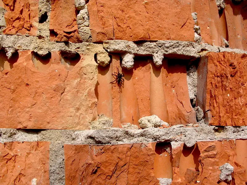 שǽ����-������