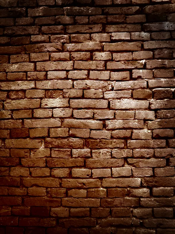 ����ǽ�ڱ���-������