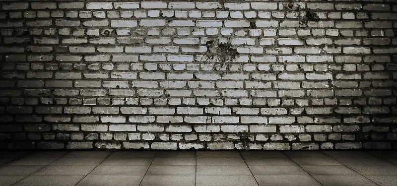 ľ��ذ屳��ǽ����-������