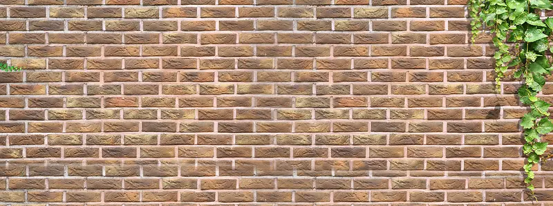 ����ǽ����-������