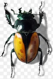 ɭ�ֿ�ͨ����ͼƬ-������