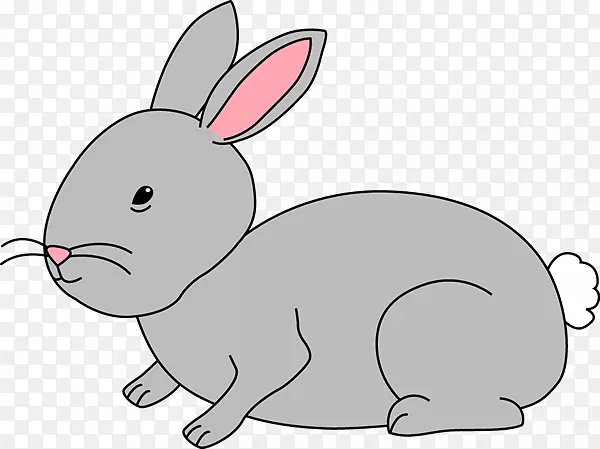 ��������ݲ��ͼ�����-���Ӽ�����-������