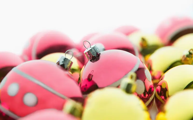 ��ɫ�λ�ʥ������-������