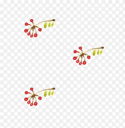 ˮ��ʥ��ֲ��-������