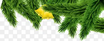 �ֻ���ɫʥ����ֲ��-������