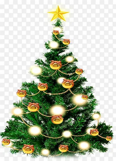 ʥ����ֲ��װ�κ���-������