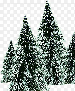 ����ʥ����ֲ���ѩװ��-������