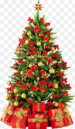 ����ʥ����ֲ������-������