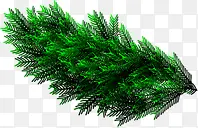 ʥ������ɫֲ��װ��-������