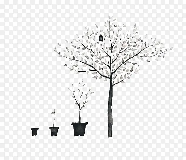 �ɳ���-������