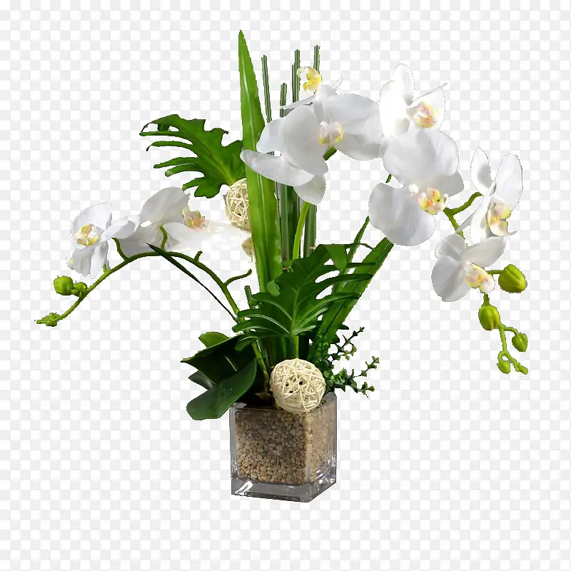 ��ɫ����������-������