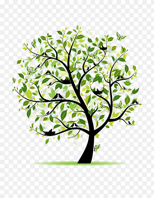 �廭��ɫ��-������