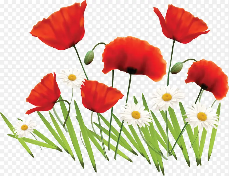 ����ͼ���ز�װ��ͼ��-������