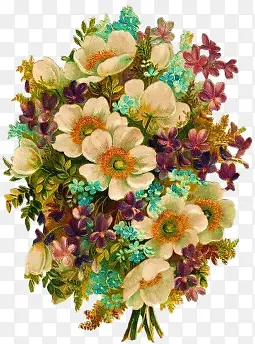 ��ͨ����Ӱ��ͨ���ز�-������