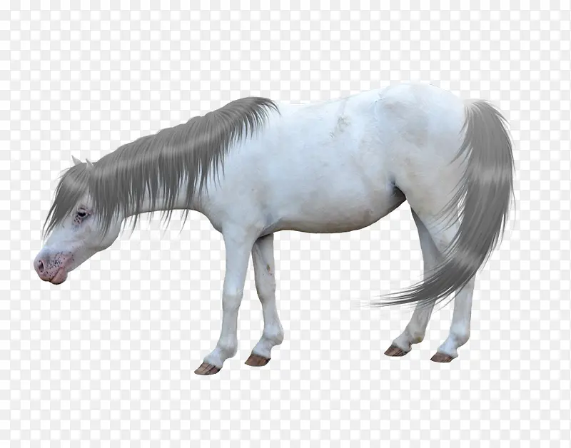 ��ͨ����ͨ���ز�-������