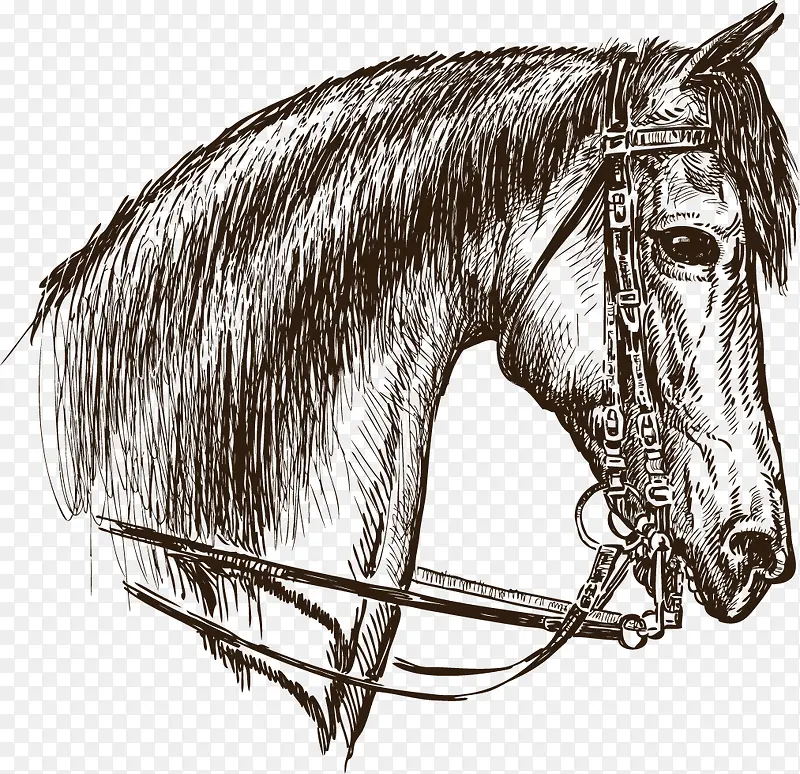 �ֻ�-������