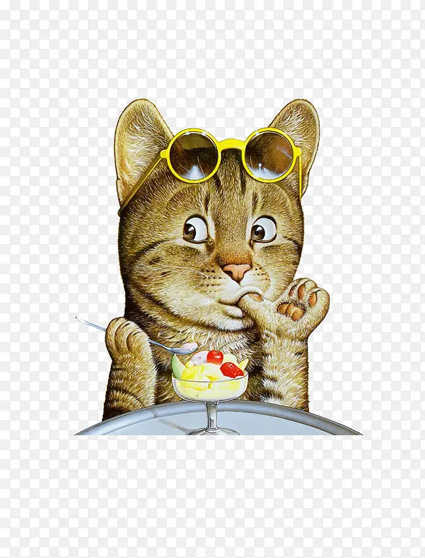 ��ͨ�ֻ洴��è��-������