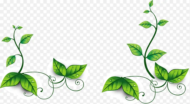 ��Ҷ�߿�ʸ��ͼ-������