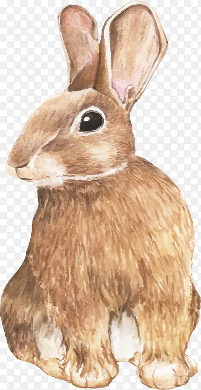 �ɰ���ͨ�ֻ�����-������