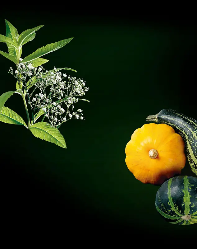 ������Ҷֲ���߲�-������