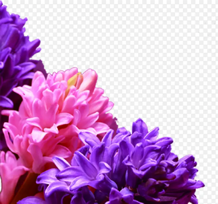 ��ɫΨ������ʱ�л���-������