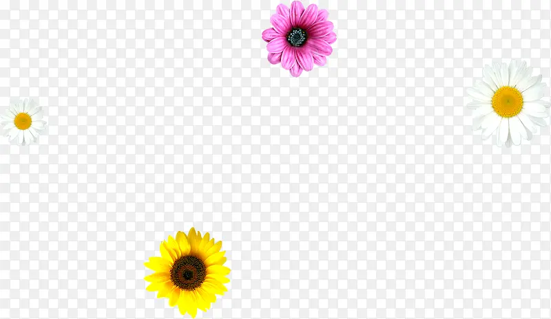 Ψ����ɫ��������-������