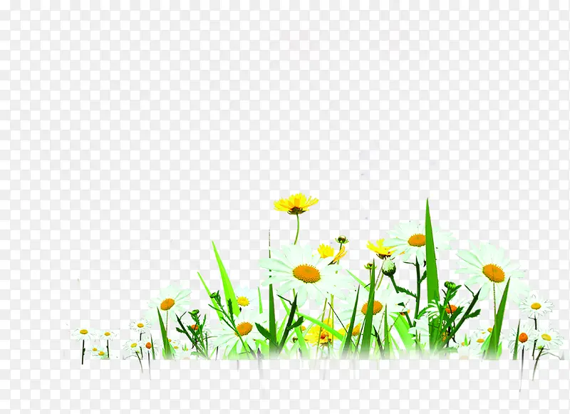 Ψ����ɫ̤�໨��-������