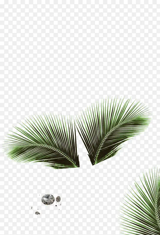 ʱ�з��װ����ֲ Ҷ��-������