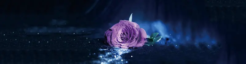 ����õ�廨Ψ������banner-������