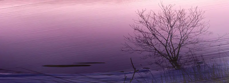 ʱ�г�������-������