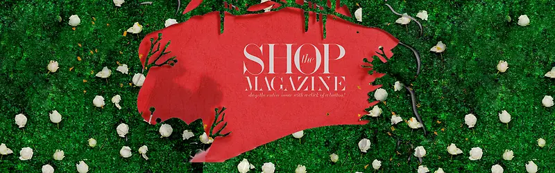 ʱ�г���-������