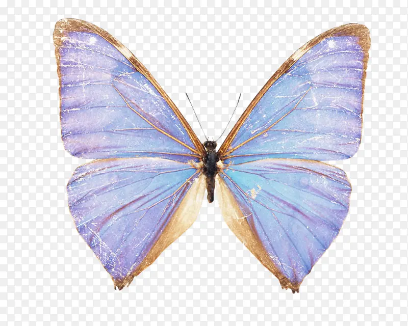 ����-������