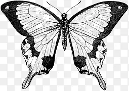 ����-������