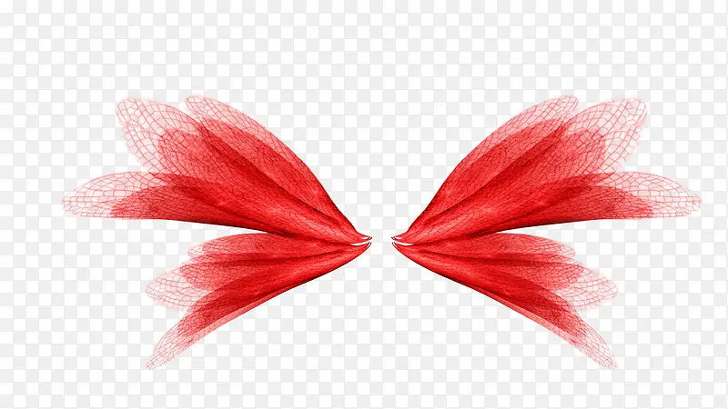 ���-������