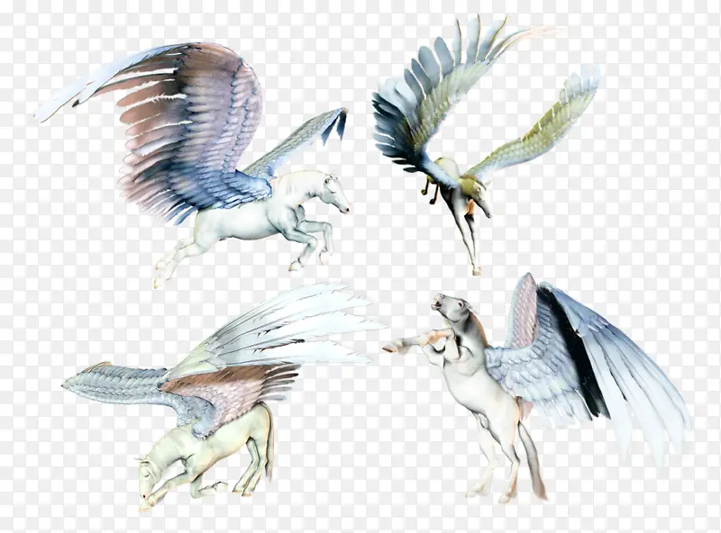 �ֻ�����-������