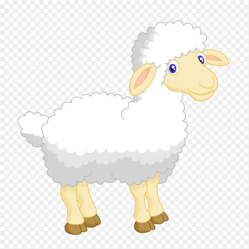 ��ɫ��ͨ�ɰ�����-������