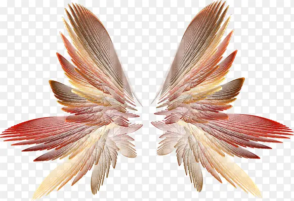 �ſ�����-������