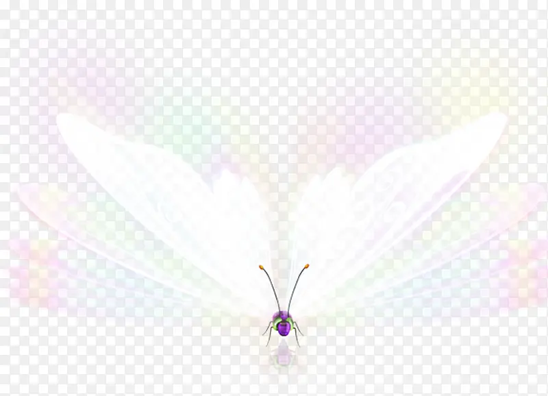 ��ɫΨ���⾳����-������