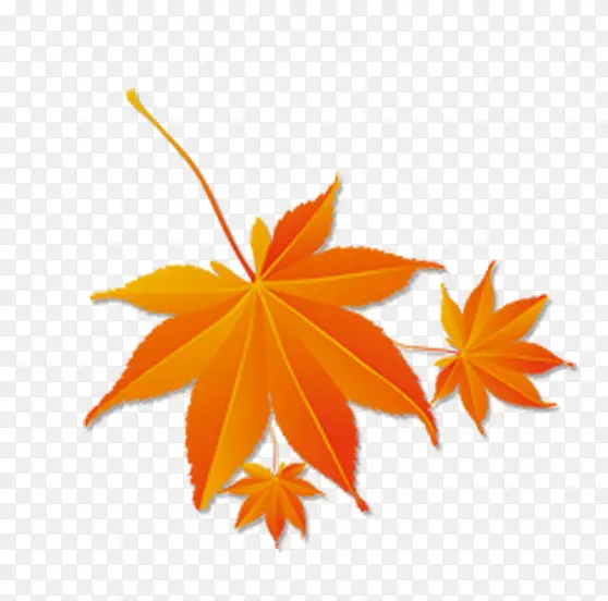 ��Ҷ�ֻ�2-������