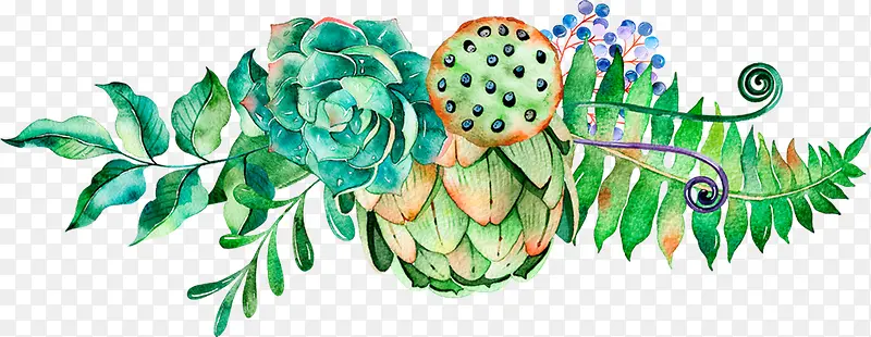 ˮ������ֲ����ɫ-������