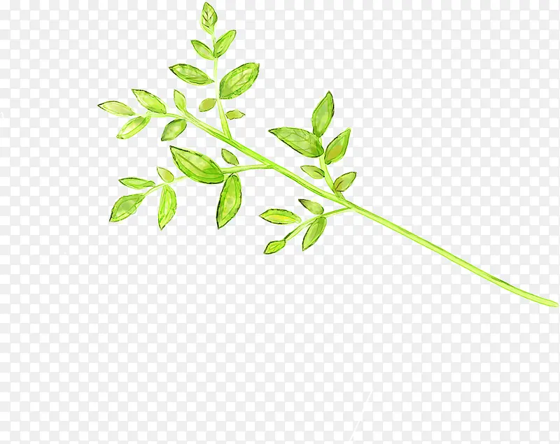 �ֻ����ɫˮ��ֲ��-������