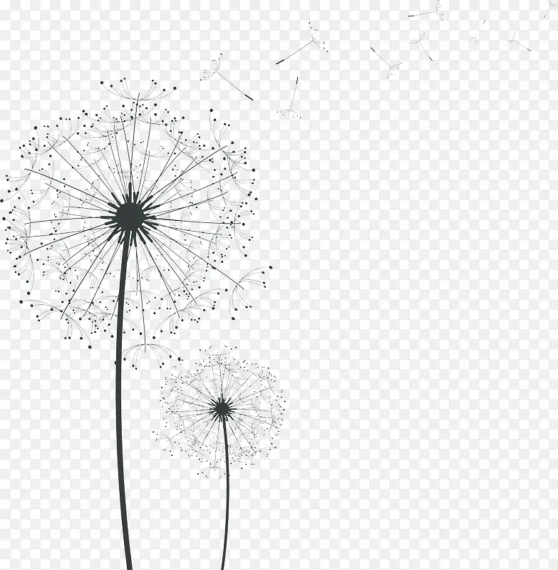 �ɰ������ѹ�Ӣ����-������