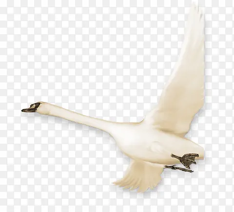 �ֻ��ɫ�ɰ����-������