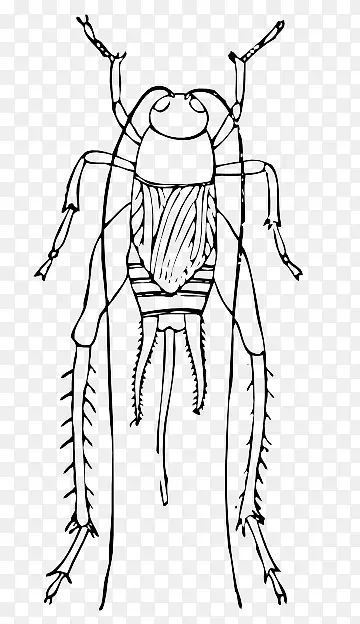 ������-������