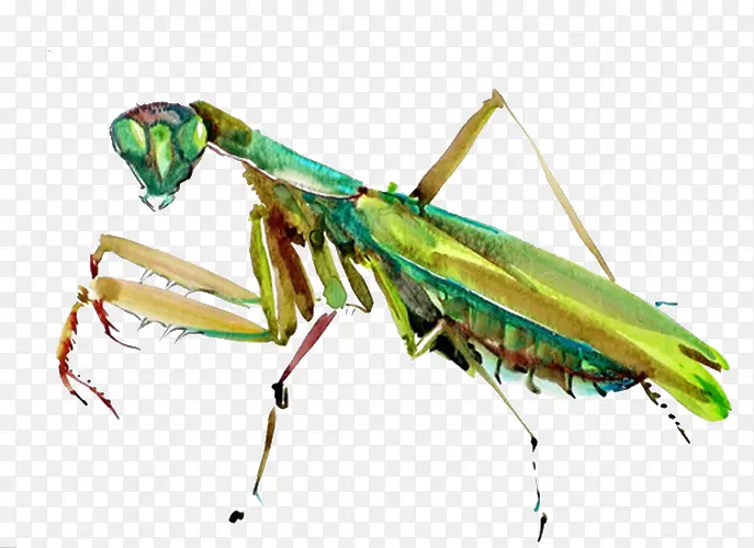 �ֻ����-������