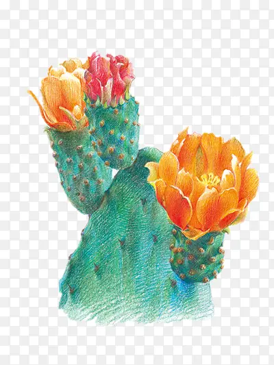 �廭-������